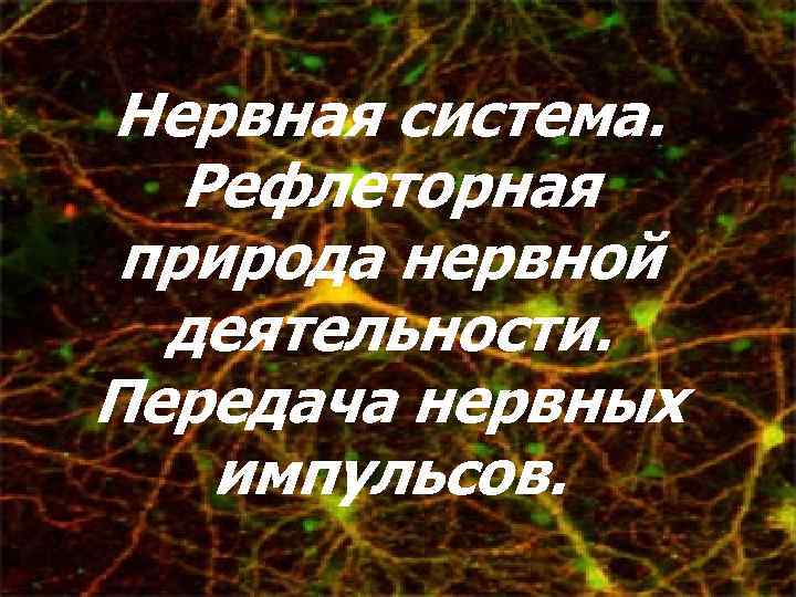 Нервная система. Рефлеторная природа нервной деятельности. Передача нервных импульсов. 