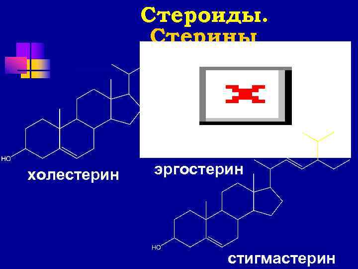    Стероиды.    Стерины холестерин  эргостерин   