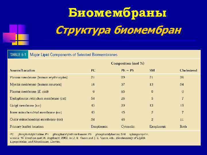  Биомембраны Структура биомембран 