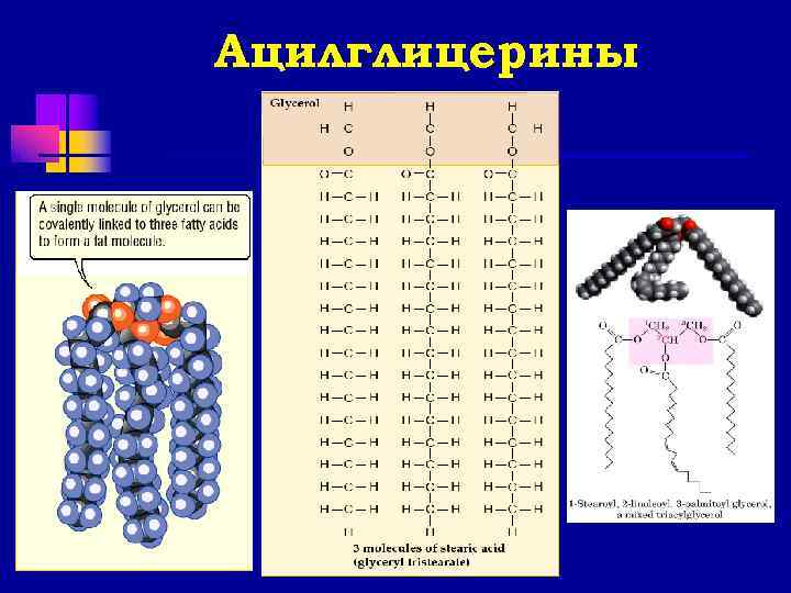 Ацилглицерины 