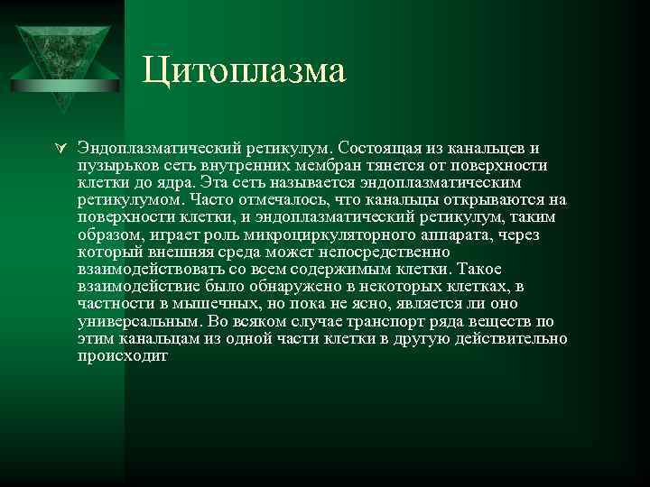    Цитоплазма Ú Эндоплазматический ретикулум. Состоящая из канальцев и  пузырьков сеть