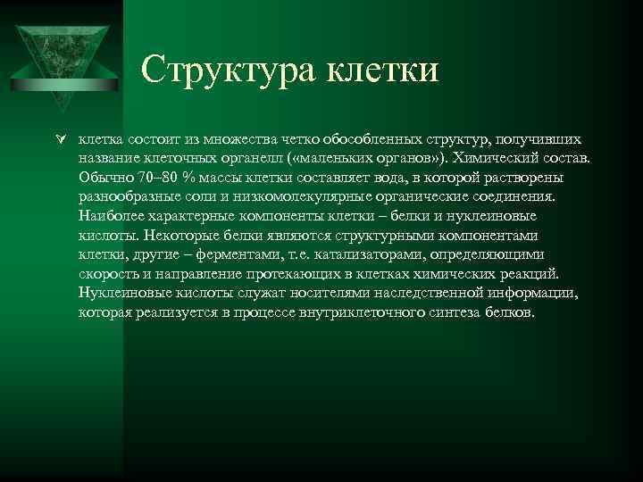   Структура клетки Ú клетка состоит из множества четко обособленных структур, получивших 