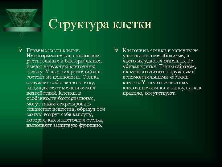   Структура клетки Ú Главные части клетки.    Ú Клеточные стенки