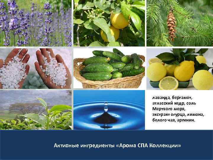 лаванда, бергамот, атласский кедр, соль Мертвого моря, экстракт огурца, лимона, белого чая, аргинин. Активные