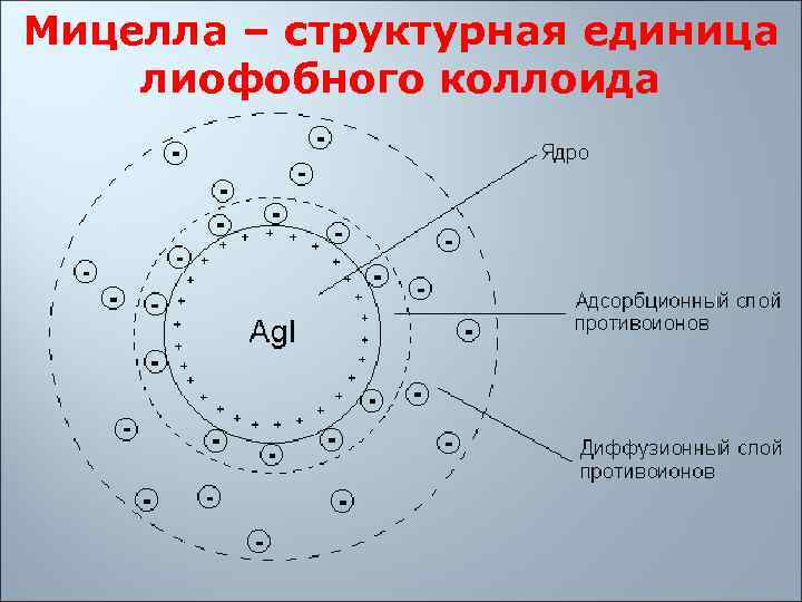 Мицелла – структурная единица лиофобного коллоида 