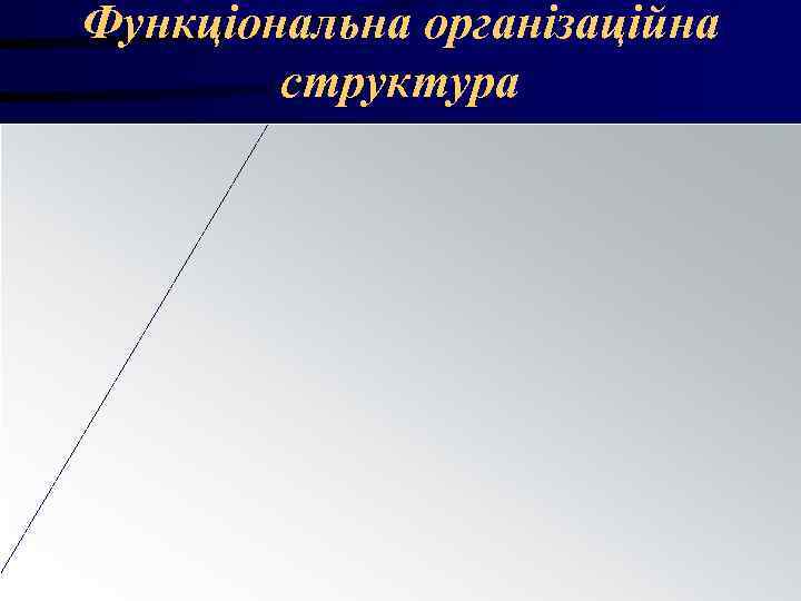 Функціональна організаційна структура Функціональна організаційна структура