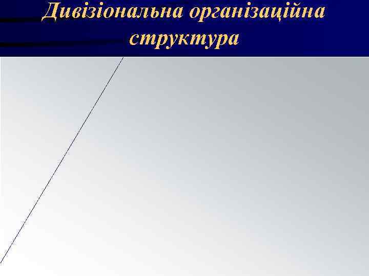 Дивізіональна організаційна структура Дивізіональна організаційна структура