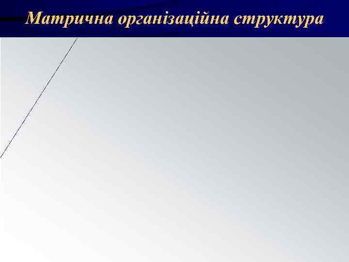 Матрична організаційна структура Матрична організаційна структура