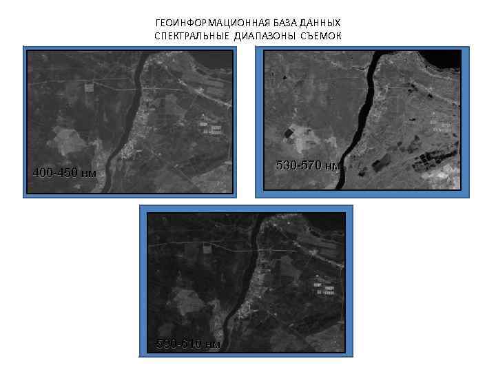 ГЕОИНФОРМАЦИОННАЯ БАЗА ДАННЫХ СПЕКТРАЛЬНЫЕ ДИАПАЗОНЫ СЪЕМОК 530 570 нм 400 450 нм 590 610