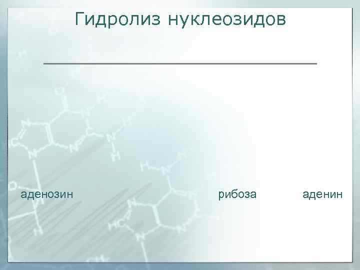   Гидролиз нуклеозидов аденозин    рибоза  аденин 