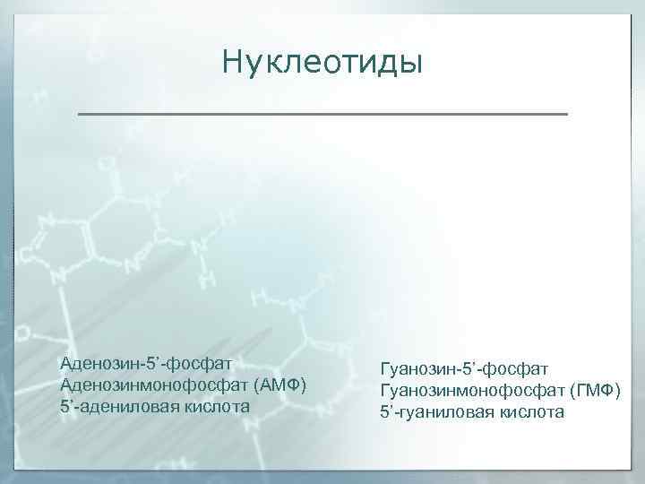     Нуклеотиды Аденозин-5’-фосфат   Гуанозин-5’-фосфат Аденозинмонофосфат (АМФ)  Гуанозинмонофосфат (ГМФ)