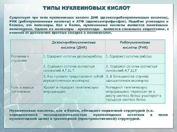     ТИПЫ НУКЛЕИНОВЫХ КИСЛОТ Существует три типа нуклеиновых кислот: ДНК (дезоксирибонуклеиновые