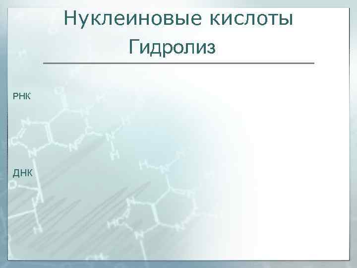  Нуклеиновые кислоты  Гидролиз РНК ДНК 