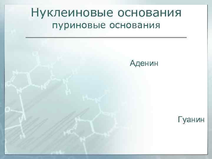 Нуклеиновые основания  пуриновые основания   Аденин     Гуанин 