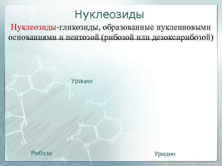     Нуклеозиды-гликозиды, образованные нуклеиновыми основаниями и пентозой (рибозой или дезоксирибозой) 