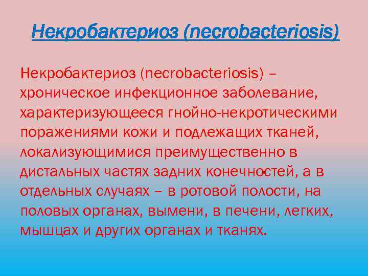Некробактериоз (necrobacteriosis) – хроническое инфекционное заболевание, характеризующееся гнойно-некротическими поражениями кожи и подлежащих тканей, локализующимися