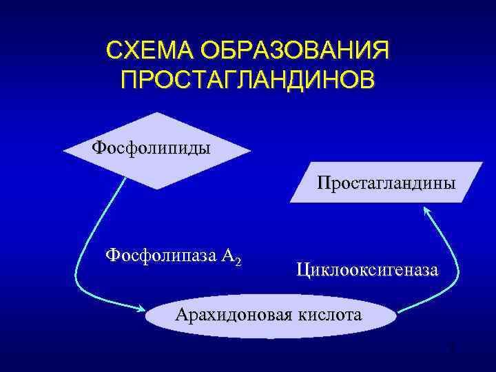  СХЕМА ОБРАЗОВАНИЯ  ПРОСТАГЛАНДИНОВ Фосфолипиды    Простагландины  Фосфолипаза А 2