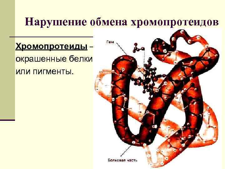  Нарушение обмена хромопротеидов Хромопротеиды – окрашенные белки или пигменты. 