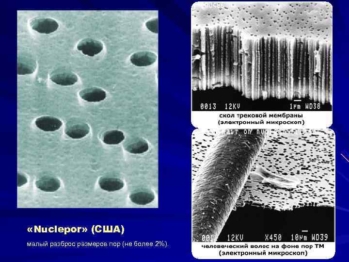  «Nuclepor» (США) малый разброс размеров пор (не более 2%).  