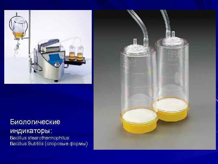 Биологические индикаторы: Bacillus stearothermophilus    Bacillus Subtilis (споровые формы) 