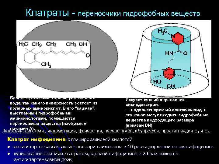 Клатраты переносчики гидрофобных веществ Белок-переносчик хорошо растворим в воде, так как его поверхность состоит