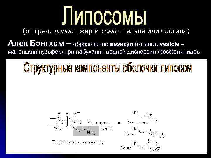 (от греч. липос - жир и сома - тельце или частица) Алек Бэнгхем –