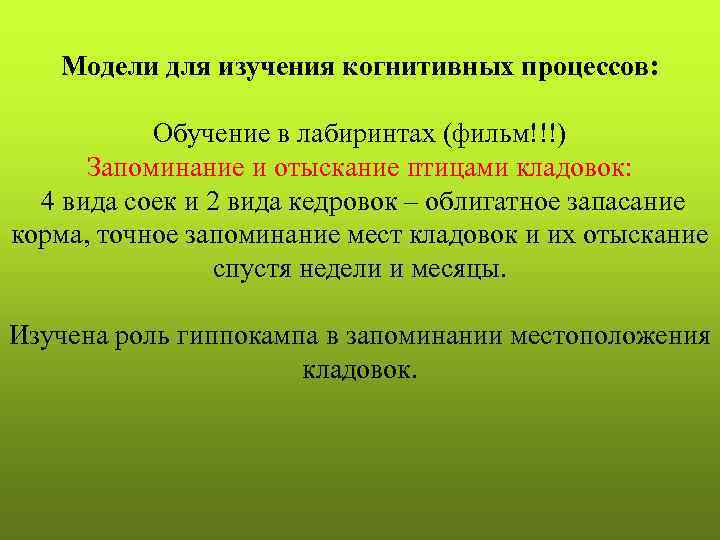   Модели для изучения когнитивных процессов:   Обучение в лабиринтах (фильм!!!) 