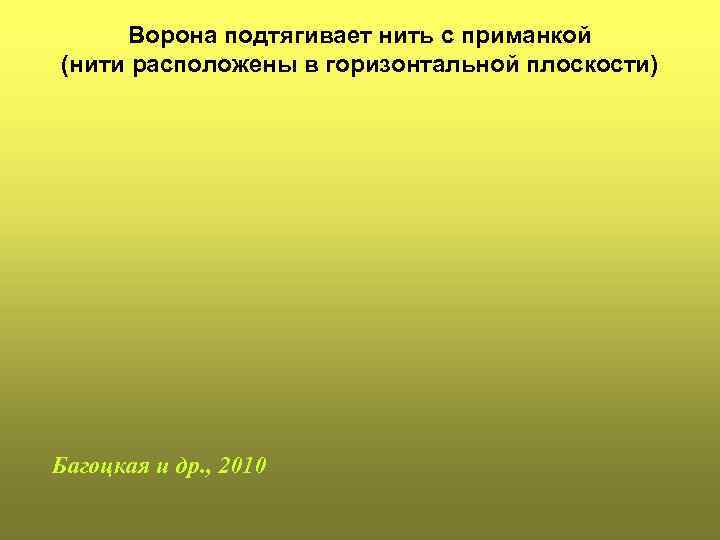 Ворона подтягивает нить с приманкой (нити расположены в горизонтальной плоскости) Багоцкая и др. ,