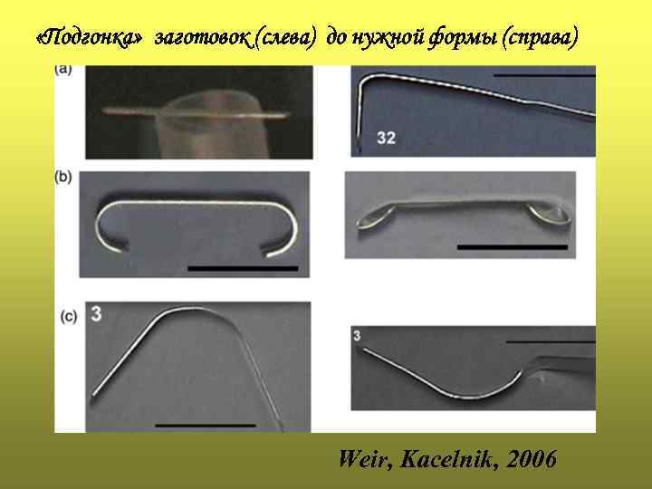  «Подгонка» заготовок (слева) до нужной формы (справа) Weir, Kacelnik, 2006 