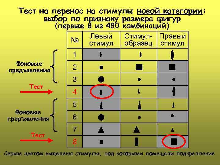 Тест на перенос на стимулы новой категории: выбор по признаку размера фигур (первые 8