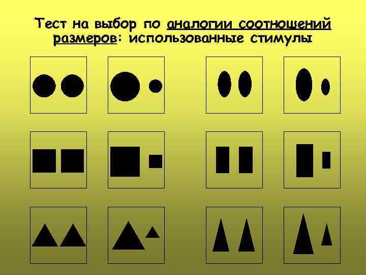 Тест на выбор по аналогии соотношений размеров: использованные стимулы 