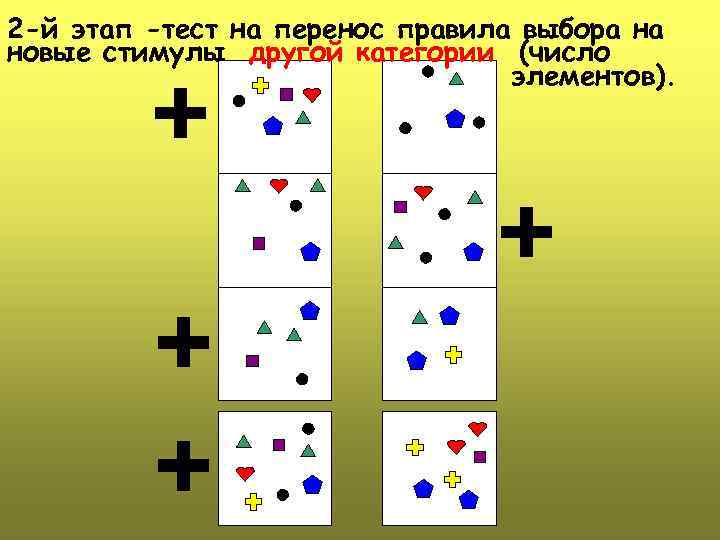 2 -й этап -тест на перенос правила выбора на новые стимулы другой категории (число