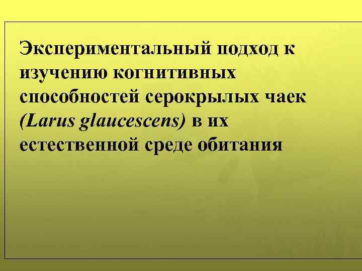 Экспериментальный подход к изучению когнитивных способностей серокрылых чаек (Larus glaucescens) в их естественной среде