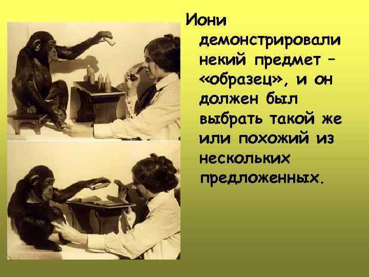 Иони демонстрировали некий предмет – «образец» , и он должен был выбрать такой же