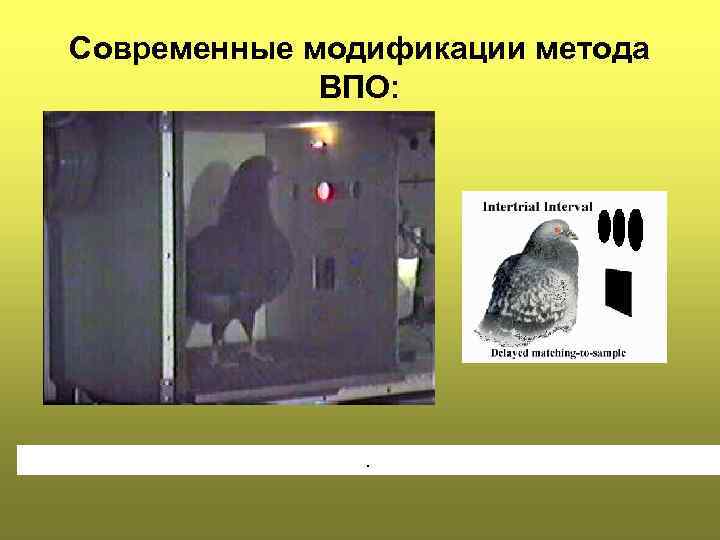 Современные модификации метода ВПО: . 