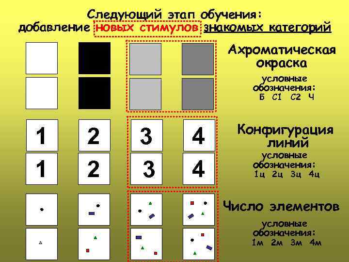 Следующий этап обучения: добавление новых стимулов знакомых категорий Ахроматическая окраска условные обозначения: Б С
