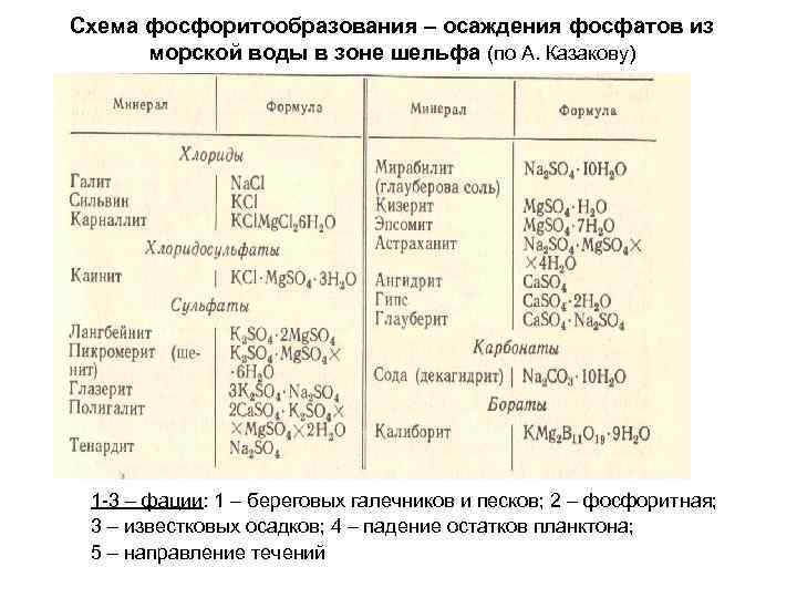 Схема фосфоритообразования – осаждения фосфатов из  морской воды в зоне шельфа (по А.