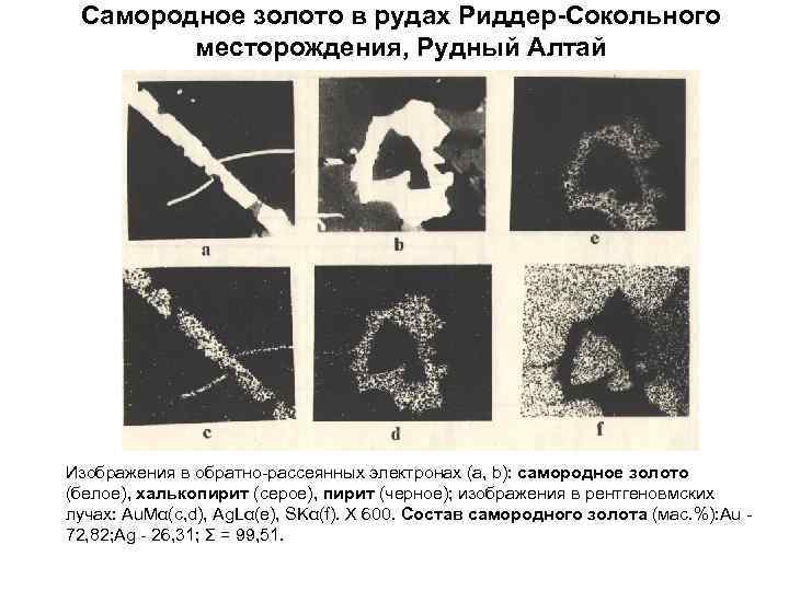  Самородное золото в рудах Риддер-Сокольного   месторождения, Рудный Алтай Изображения в обратно-рассеянных