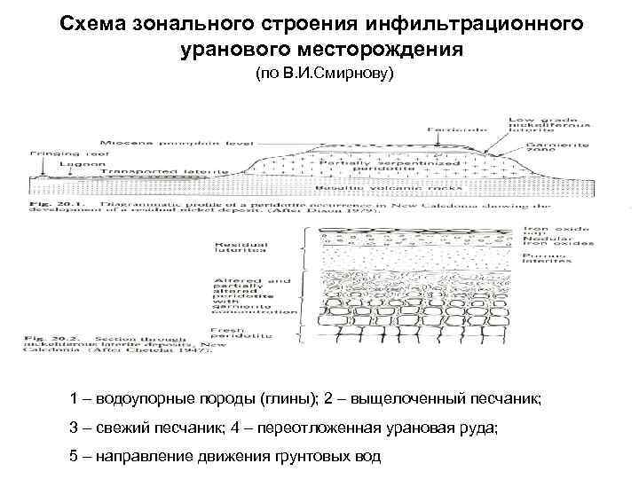 Схема зонального строения инфильтрационного  уранового месторождения    (по В. И. Смирнову)