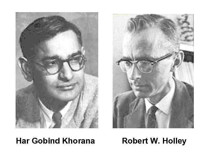 Har Gobind Khorana  Robert W. Holley 