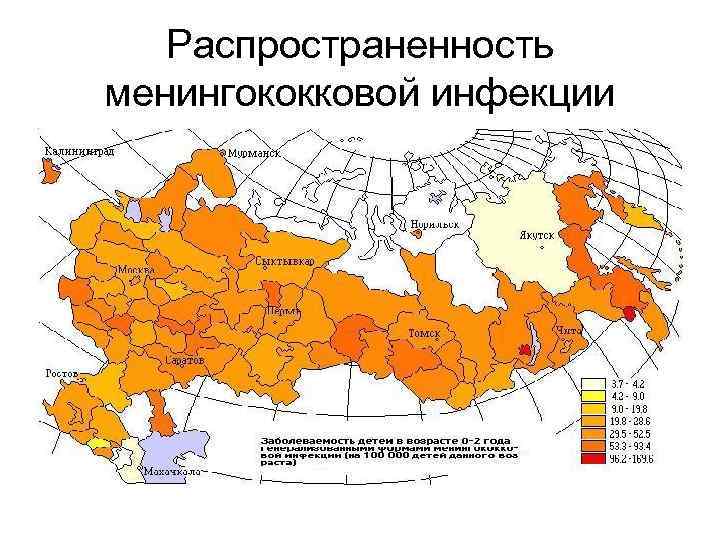   Распространенность менингококковой инфекции 