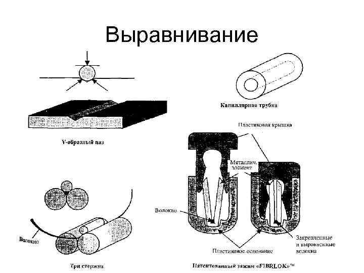 Выравнивание Выравнивание