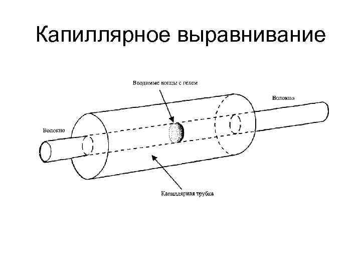 Капиллярное выравнивание Капиллярное выравнивание