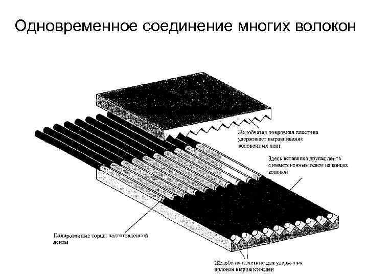 Одновременное соединение многих волокон Одновременное соединение многих волокон