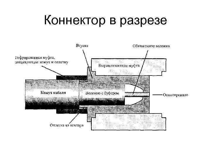 Коннектор в разрезе Коннектор в разрезе