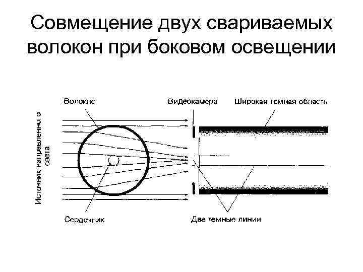 Совмещение двух свариваемых волокон при боковом освещении Совмещение двух свариваемых волокон при боковом освещении