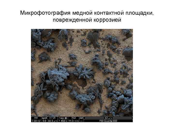 Микрофотография медной контактной площадки, поврежденной коррозией Микрофотография медной контактной площадки, поврежденной коррозией
