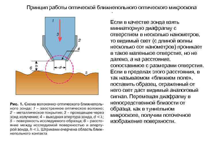 Принцип работы оптического микроскопа описание и схема - 88 фото