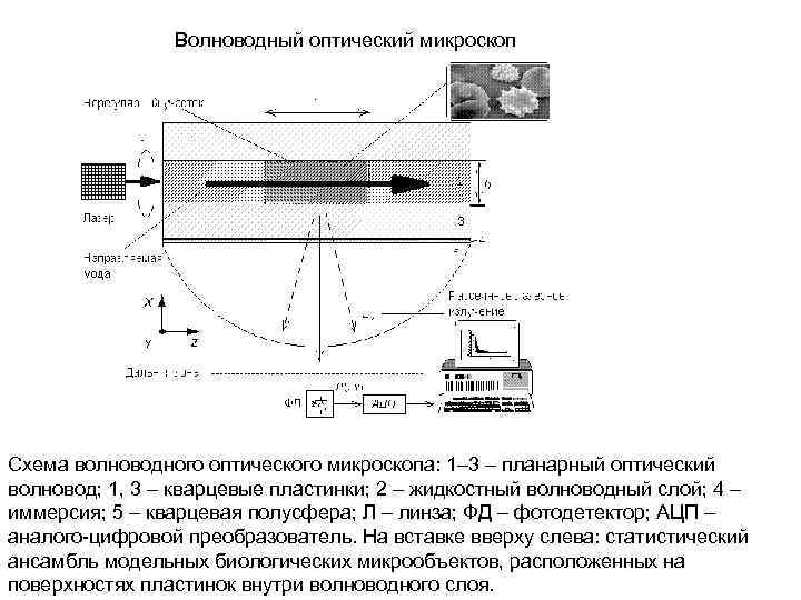 Микроскоп схема с обозначениями