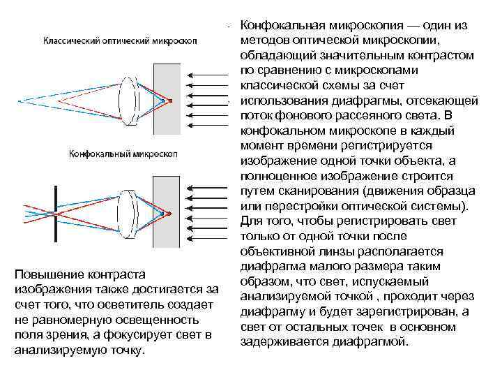 Конфокальная микроскопия. Оптическая схема конфокального микроскопа. Строение конфокального микроскопа. Конфокальный микроскоп схема. Конфокальный микроскоп принцип.